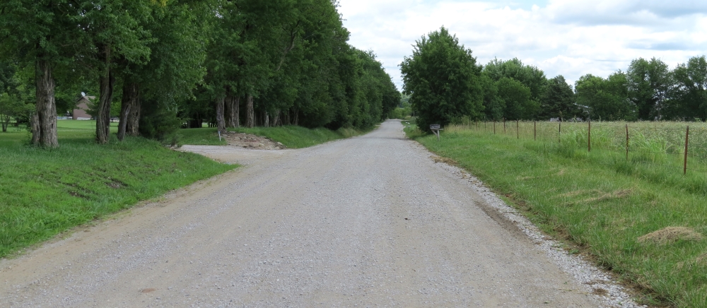 Looking east from Bull Creek Fight tour stop